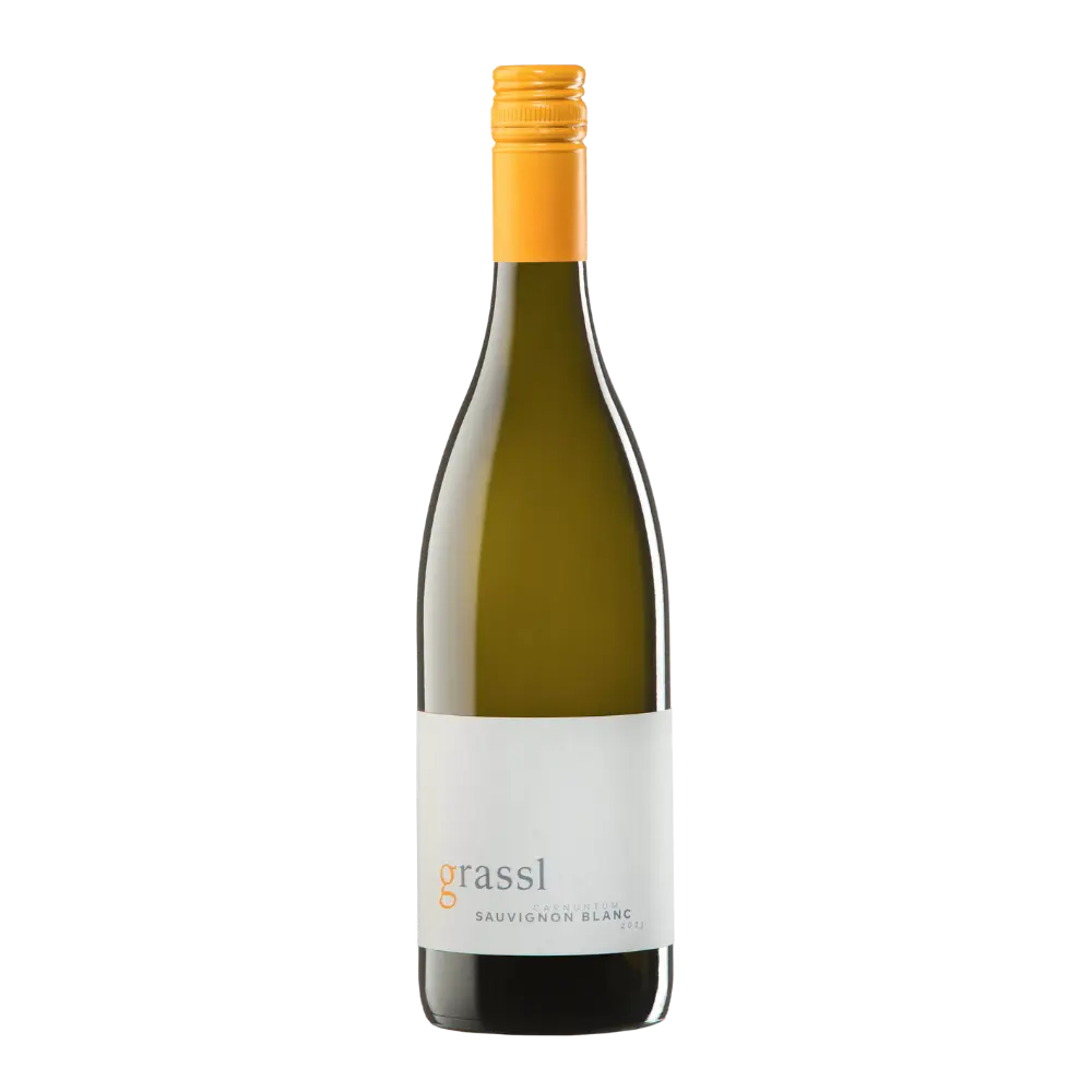 Sauvignon Blanc (ekologisk)