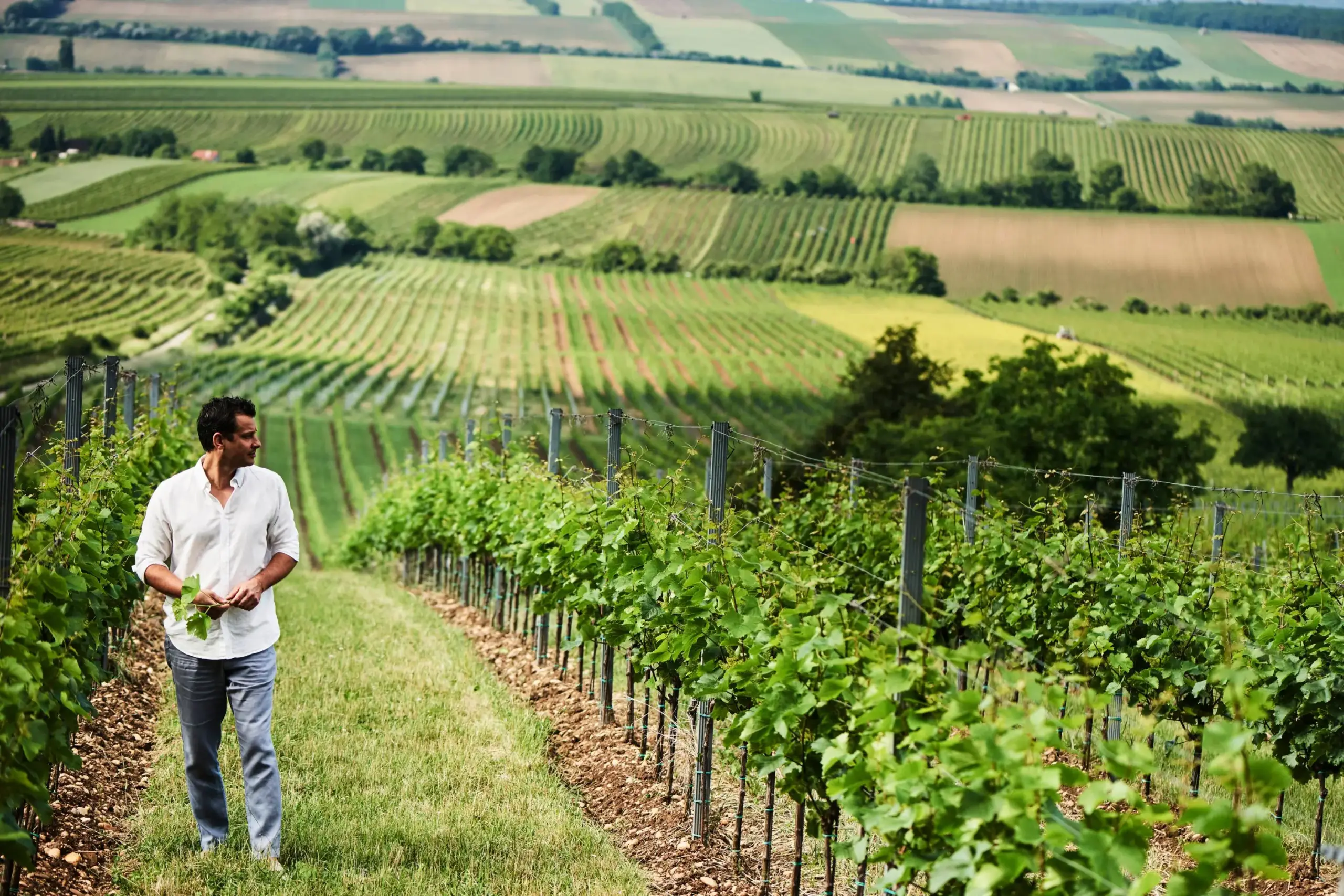 Weingut Philipp Grassl