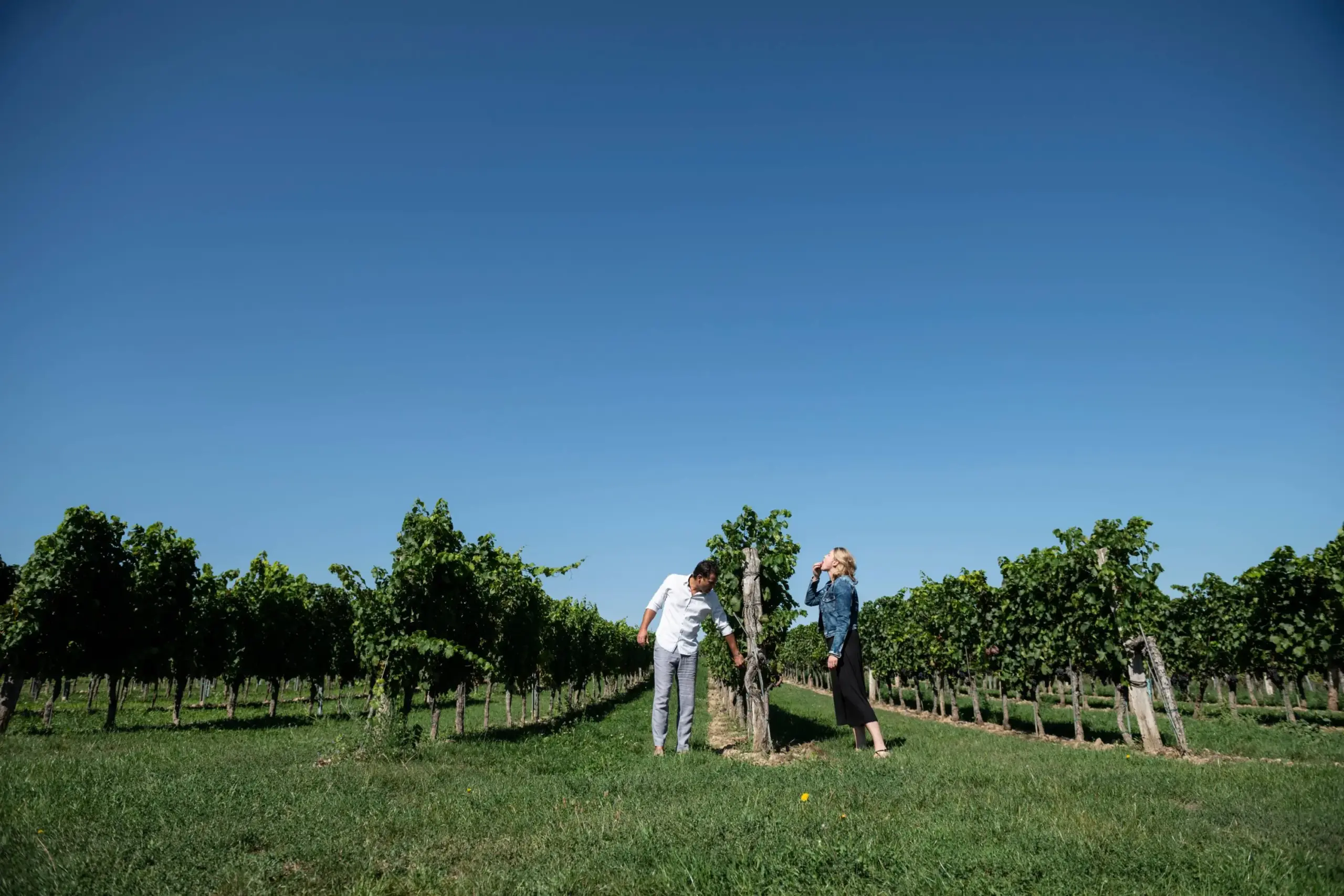 Weingut Philipp Grassl